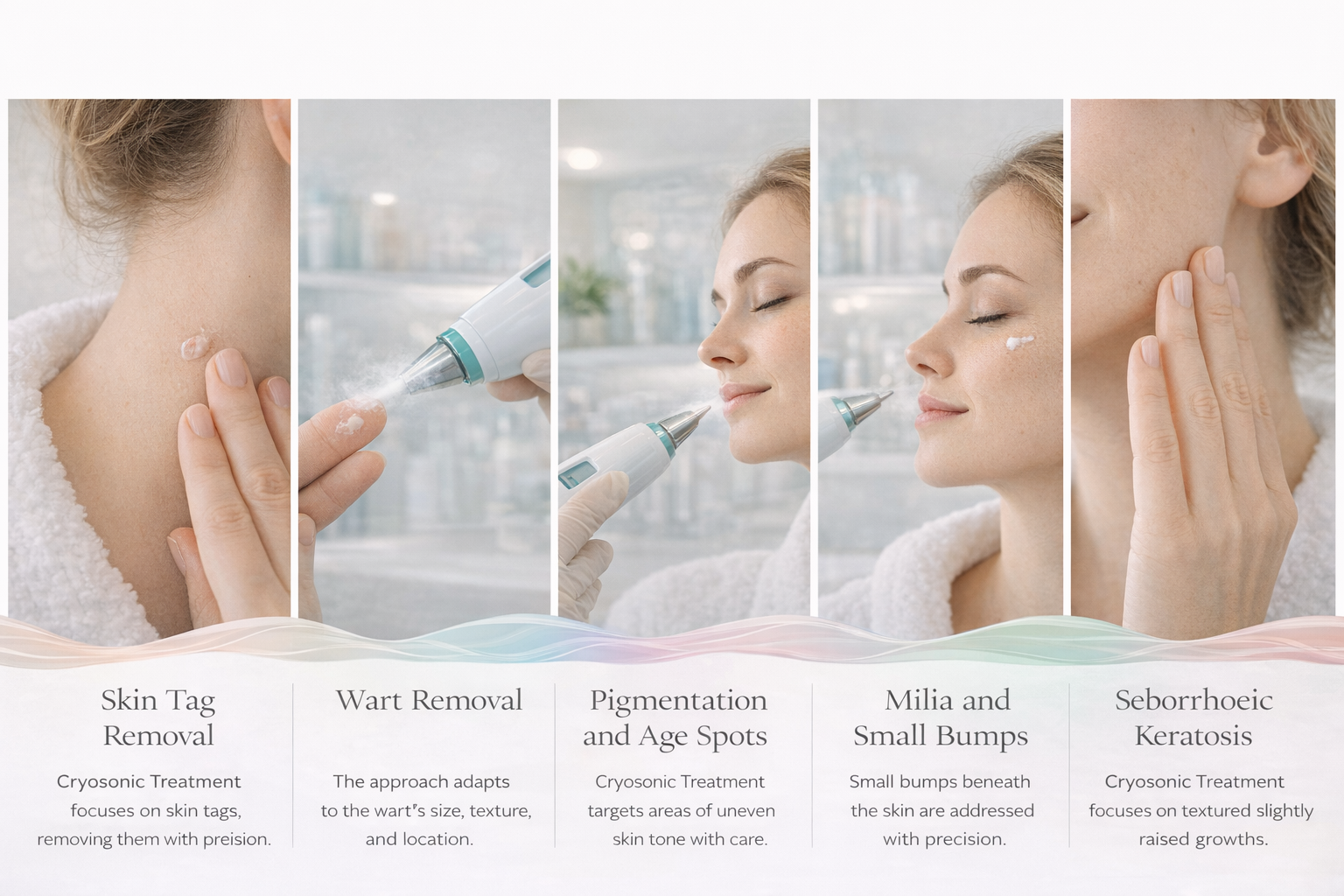 Services Offered Image